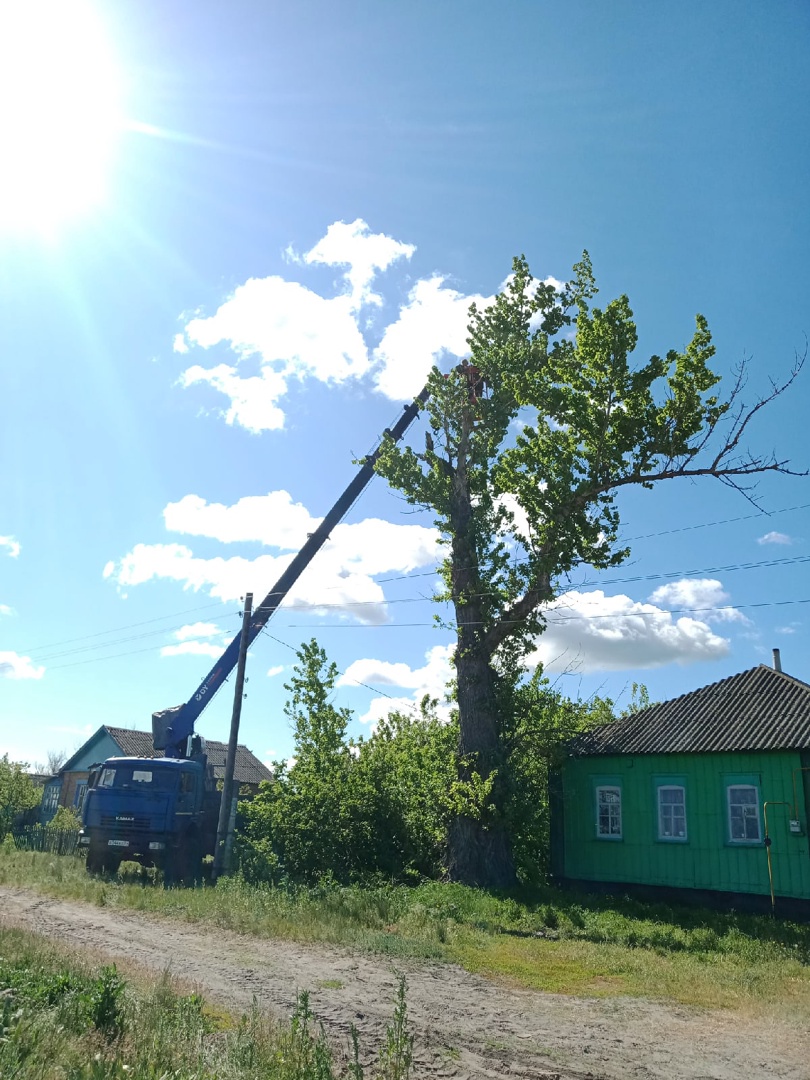 СПИЛ ДЕРЕВЬЕВ.